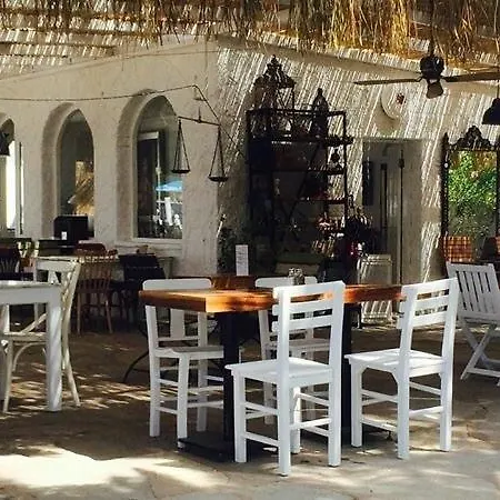 Cohiba ゴルトゥルブク