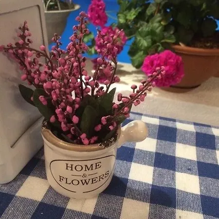 Cohiba ホテル ゴルトゥルブク