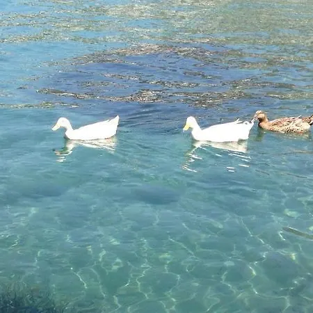 Cohiba ホテル ゴルトゥルブク