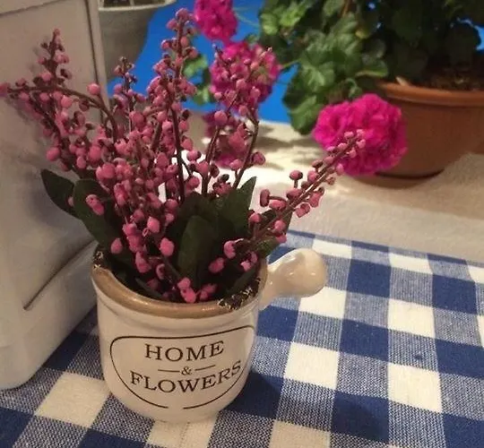 Cohiba Hotel Göltürkbükü