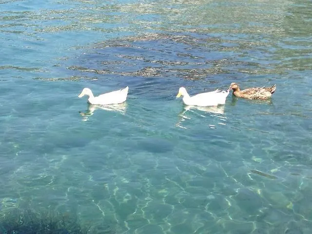 Cohiba Hotel Göltürkbükü