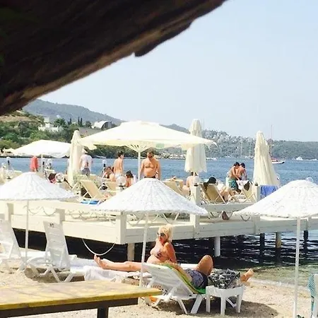 Cohiba Szálloda