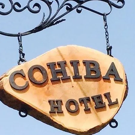 Cohiba Golturkbuku