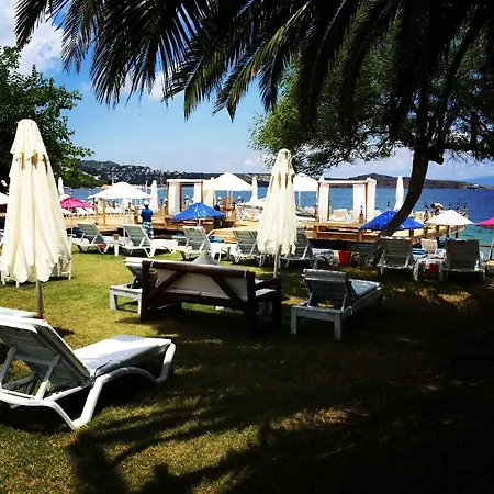 Cohiba Hotel *