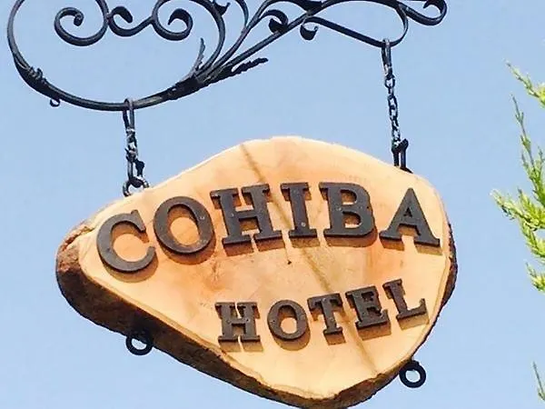 Cohiba גולטורקבוקו